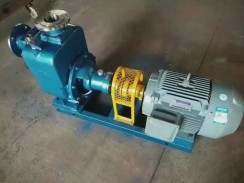 安徽不鏽鋼(gang)自吸泵