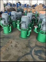 安徽WFB自控(kòng)自吸泵