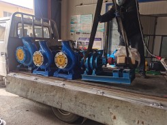 發貨現場(chǎng)